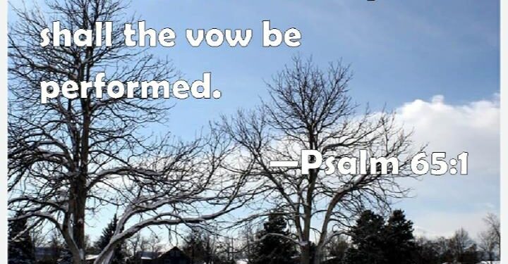 THE YIELDED PRAISE