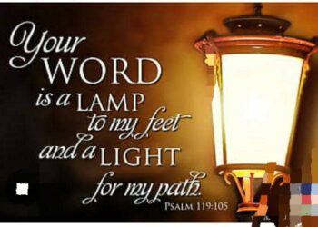 THE LIGHT OF THE WORLD