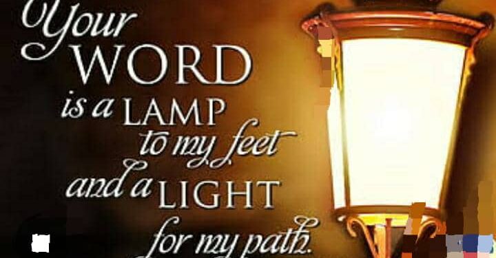 THE LIGHT OF THE WORLD
