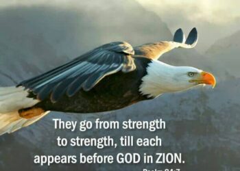 STRENGTH IS NEEDED.