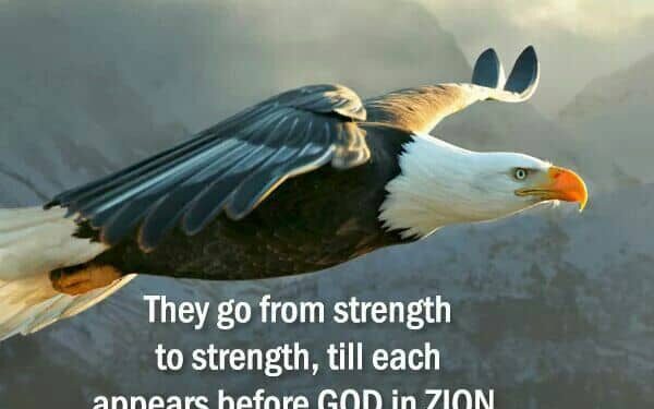 STRENGTH IS NEEDED.