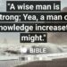 STRENGTH THROUGH THE WORD.