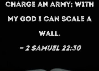 SCALE THE WALL
