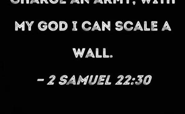 SCALE THE WALL