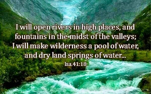 THE RAIN OF HIS GLORY