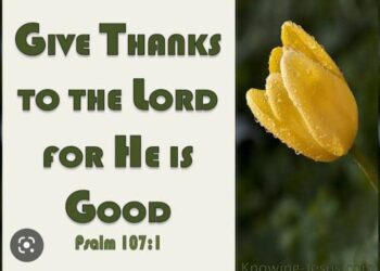 GIVE THANKS