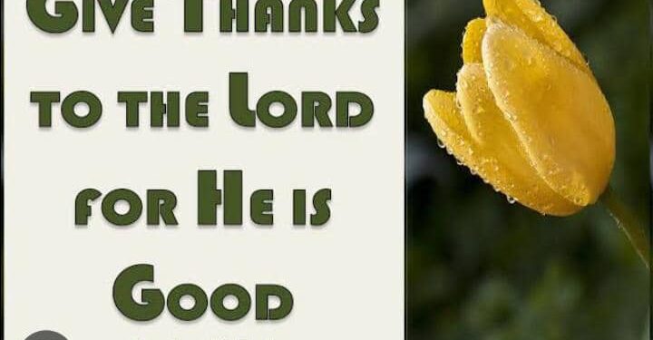 GIVE THANKS
