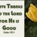 GIVE THANKS