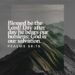 HIS MERCY IS NEW EVERY MORNING
