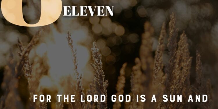SHOW ME YOUR GLORY