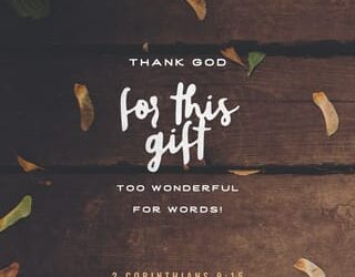 THE POWER OF GRATITUDE.