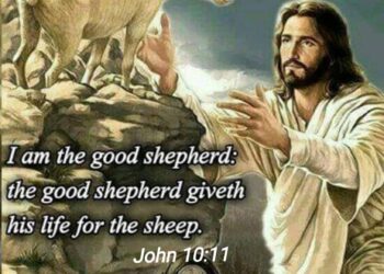THE GOOD SHEPHERD.