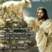 THE GOOD SHEPHERD.