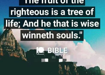 BE A SOUL WINNER