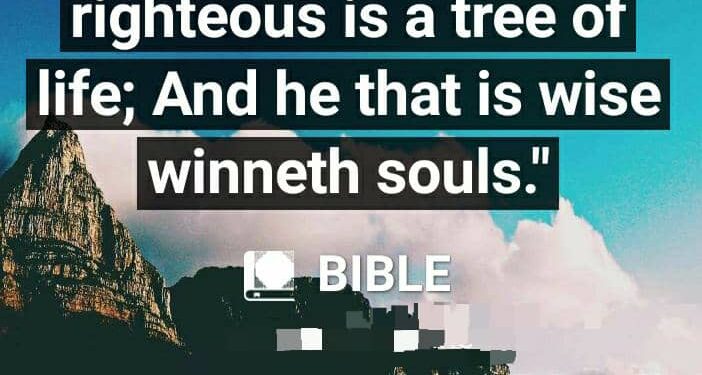 BE A SOUL WINNER