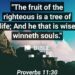 BE A SOUL WINNER