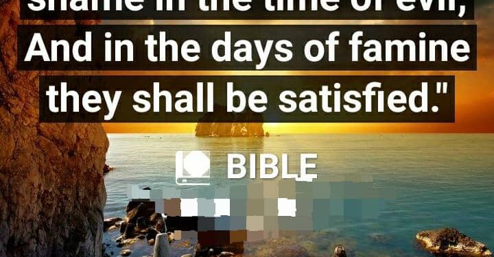 I SHALL NOT BE ASHAMED
