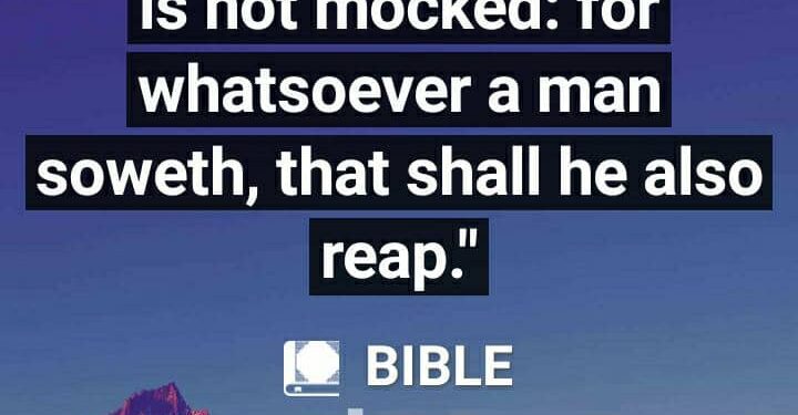 LAW OF SOWING AND REAPING