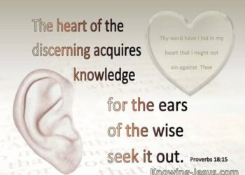 SEEK KNOWLEDGE