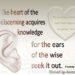 SEEK KNOWLEDGE