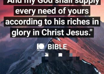 THE GREAT PROVIDER
