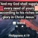 THE GREAT PROVIDER