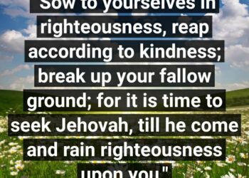 TILL YOUR GROUND