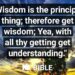 WISDOM IS THE PRINCIPAL
